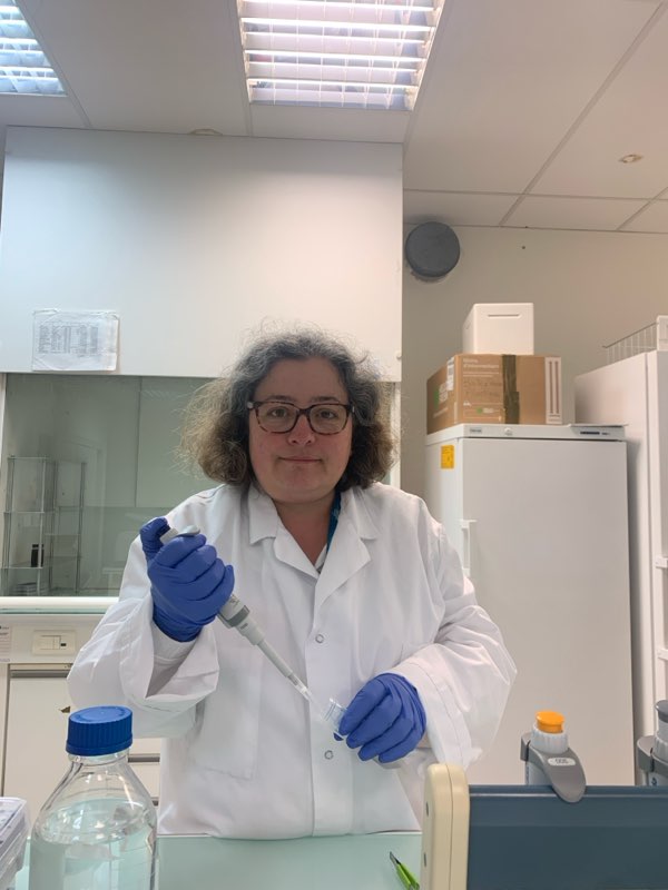 L&rsquo;impact d&rsquo;un repas gras sur l&rsquo;inflammation du cerveau (Hypothalamus)